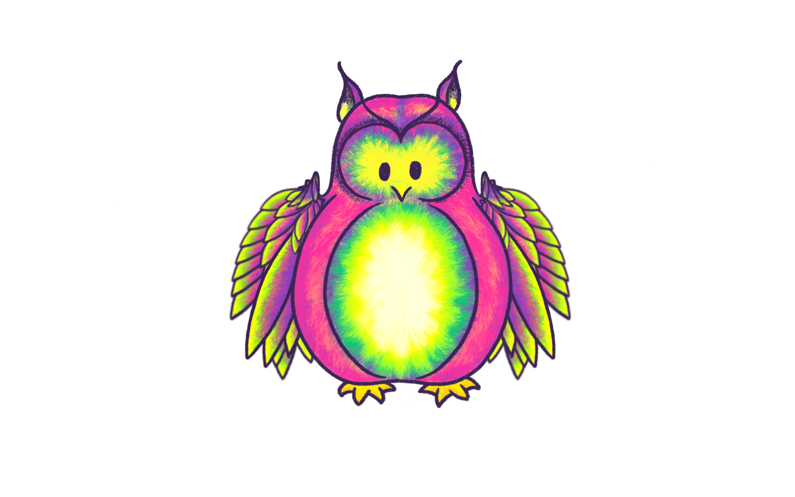 Fat Fuzzy, a colorful owl, getting ready to spread its wings.