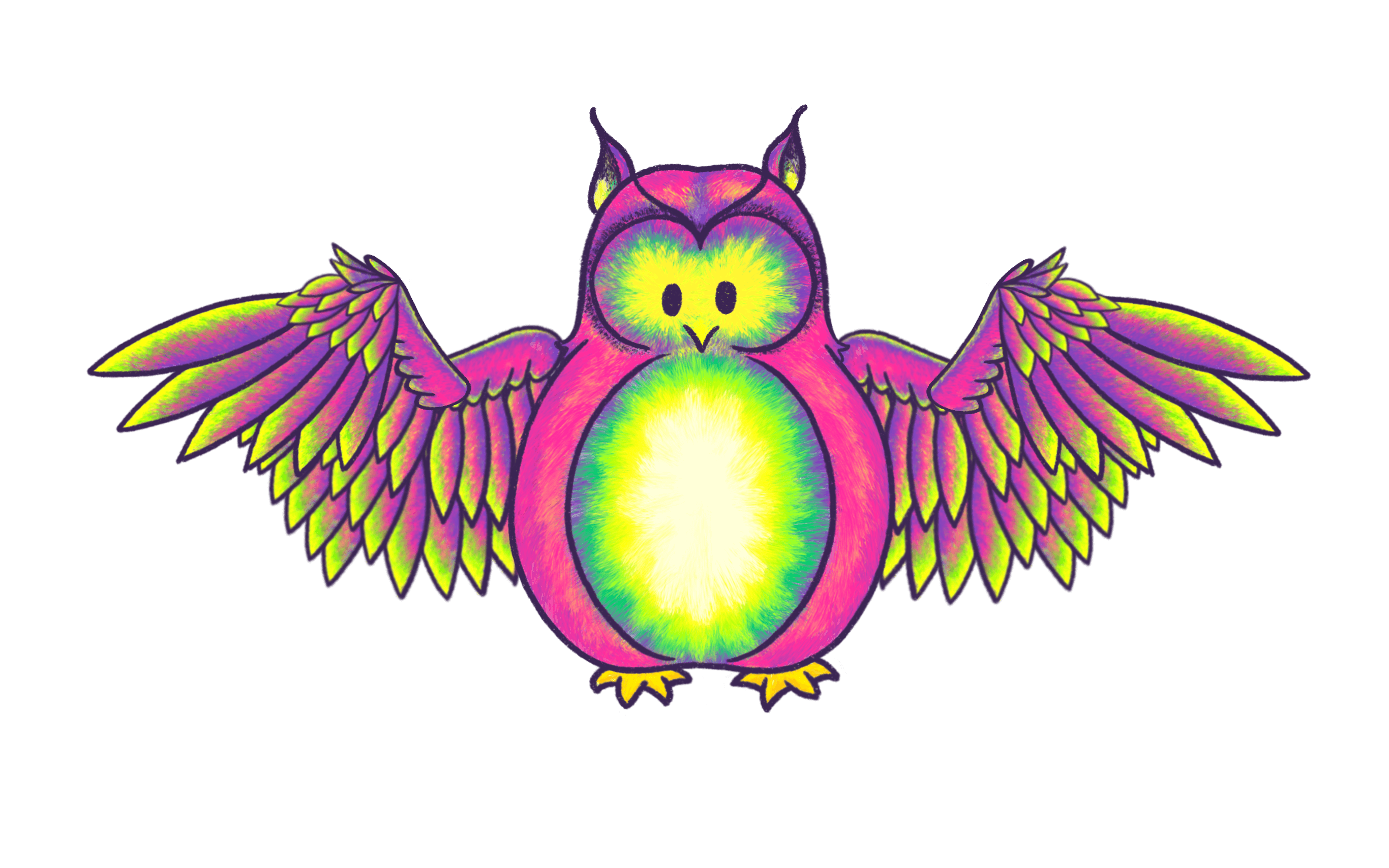 Fat Fuzzy, a colorful owl, with its wings 3/4 extended.