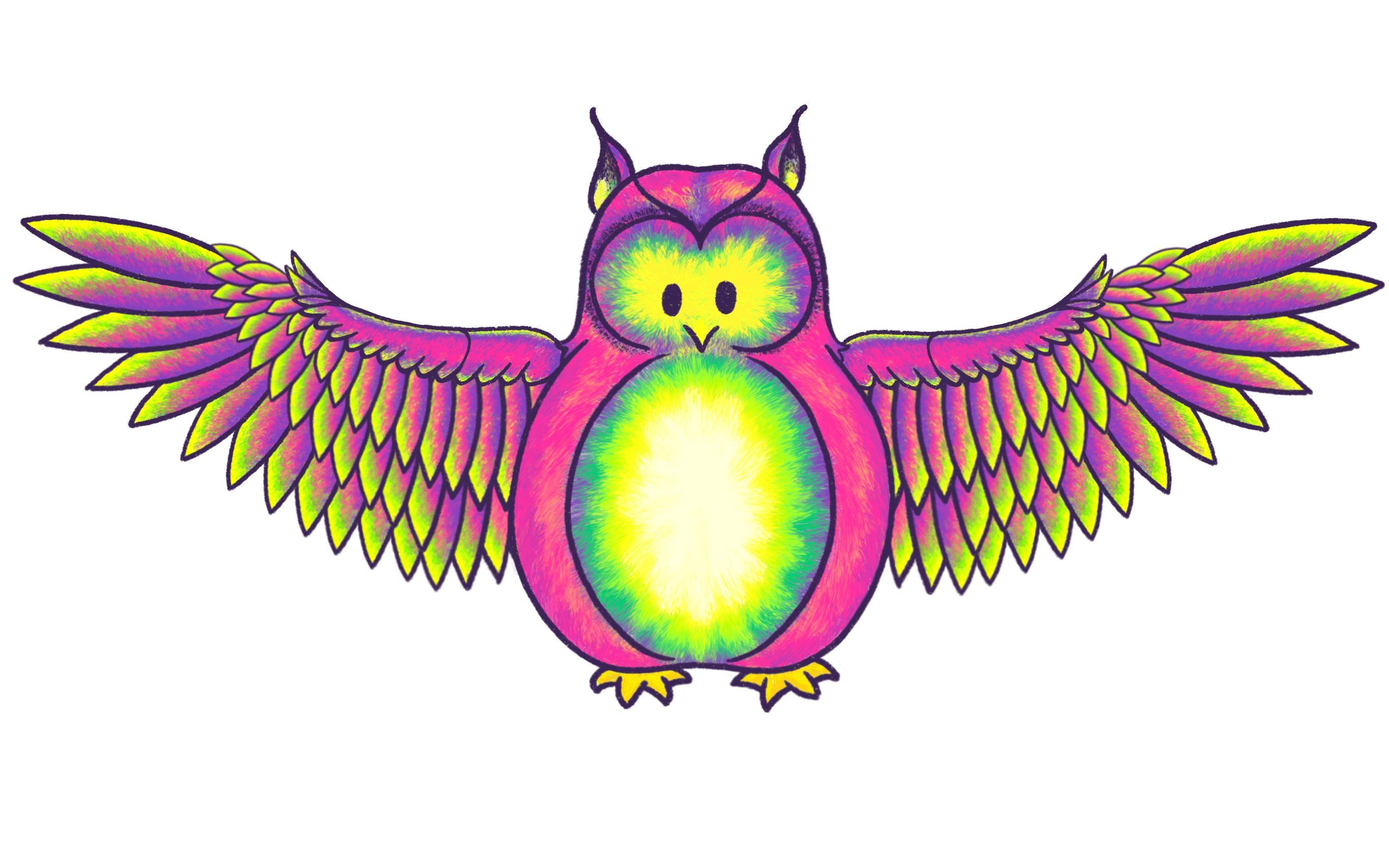 Fat Fuzzy, a colorful owl, with its wings fully extended.